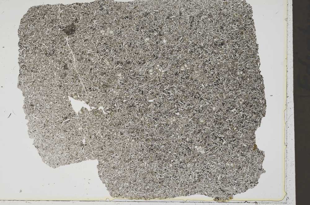 Plane Polarized, S42579