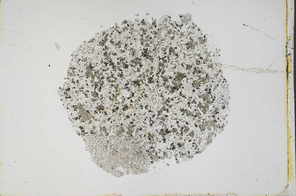 Plane Polarized, S42582