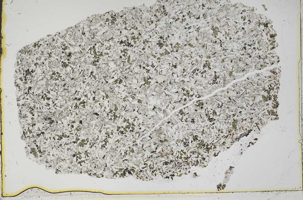 Plane Polarized, S42583