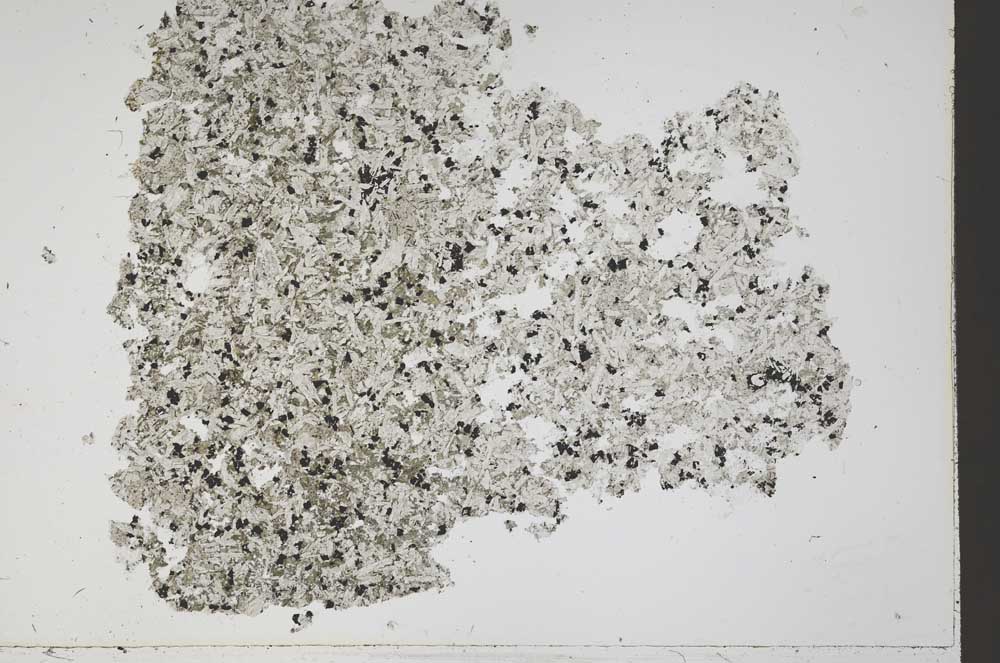 Plane Polarized, S42586