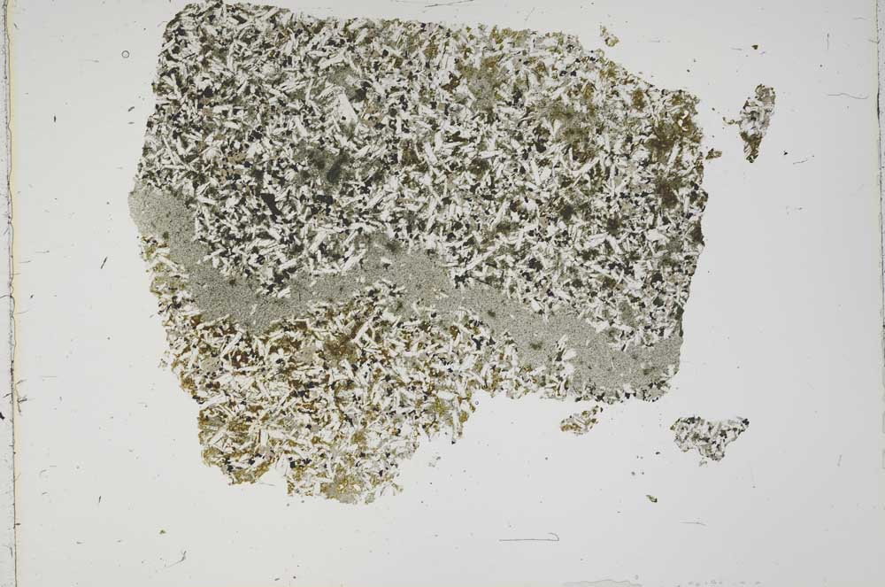 Plane Polarized, S42588