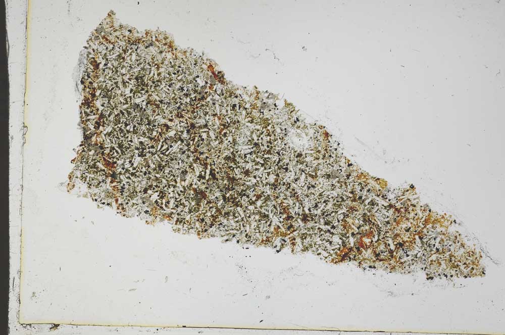 Plane Polarized, S42589