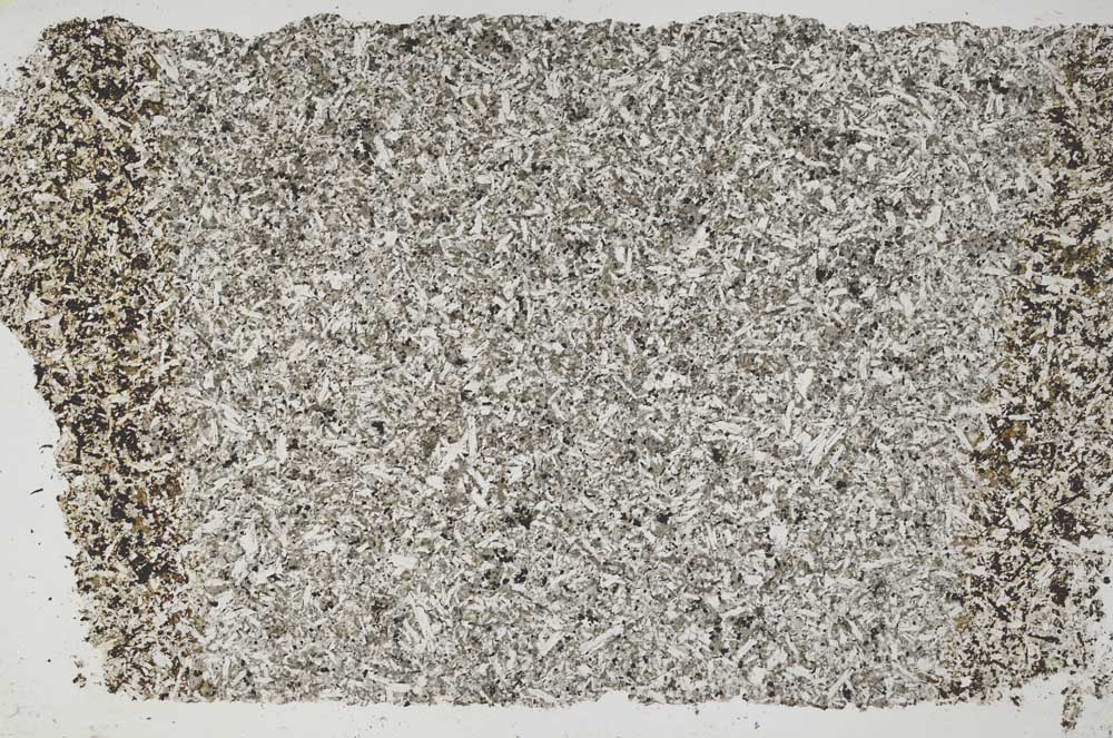 Plane Polarized, S42592