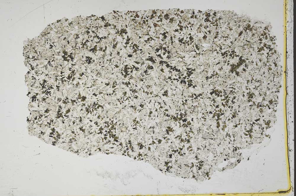 Plane Polarized, S42593