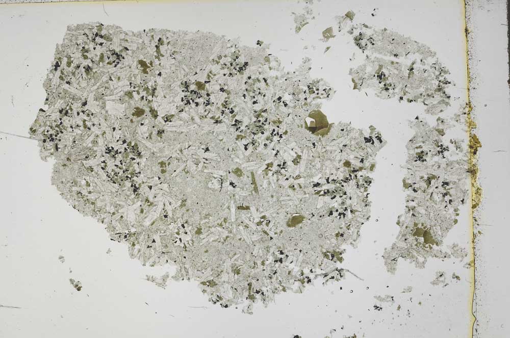 Plane Polarized, S42594