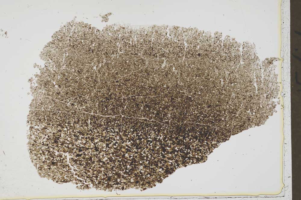 Plane Polarized, S42596