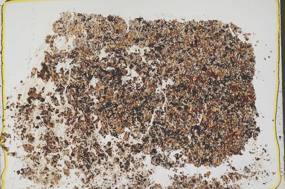 Plane Polarized, S42597