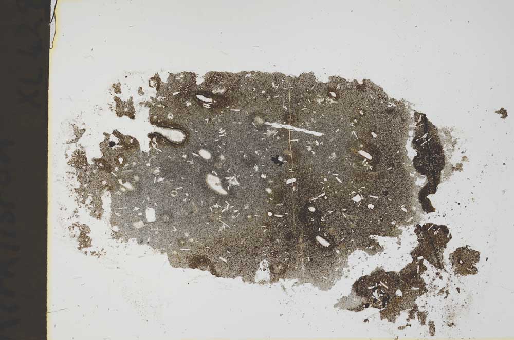 Plane Polarized, S42599