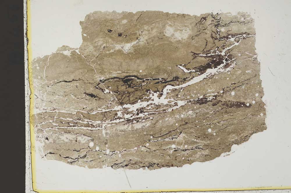 Plane Polarized, S42621
