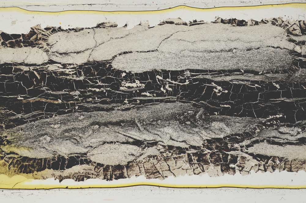 Plane Polarized, S42624