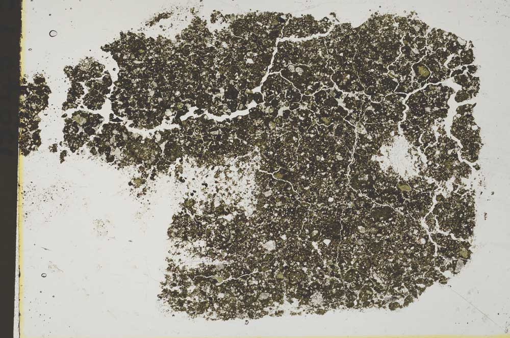 Plane Polarized, S42626