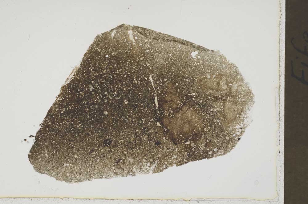 Plane Polarized, S42662