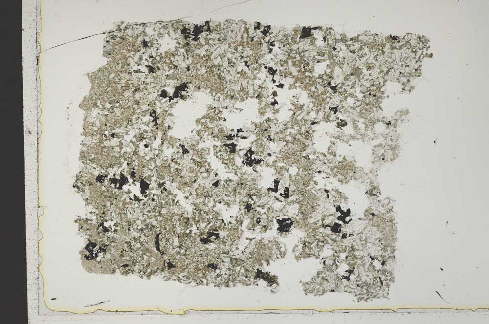 Plane Polarized, S42666