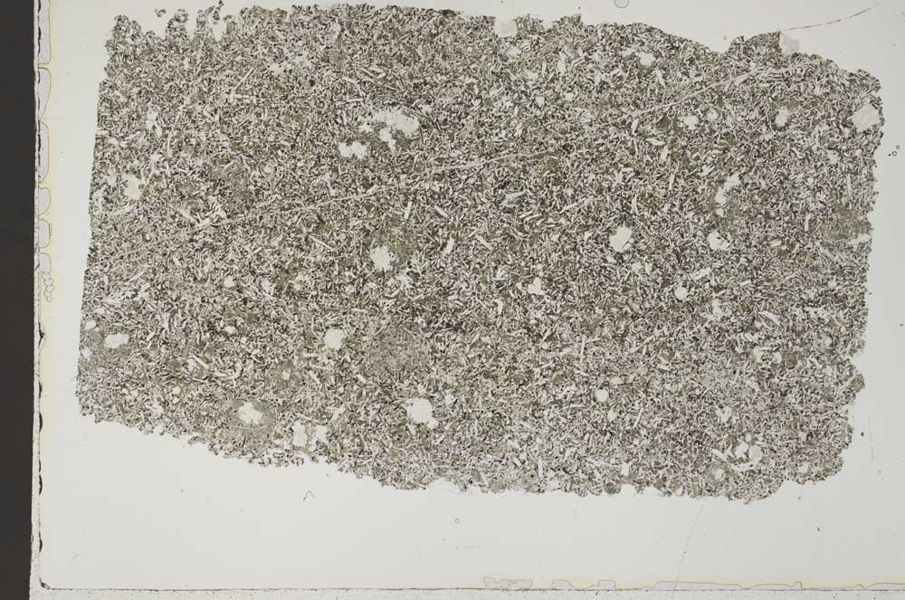 Plane Polarized, S42669