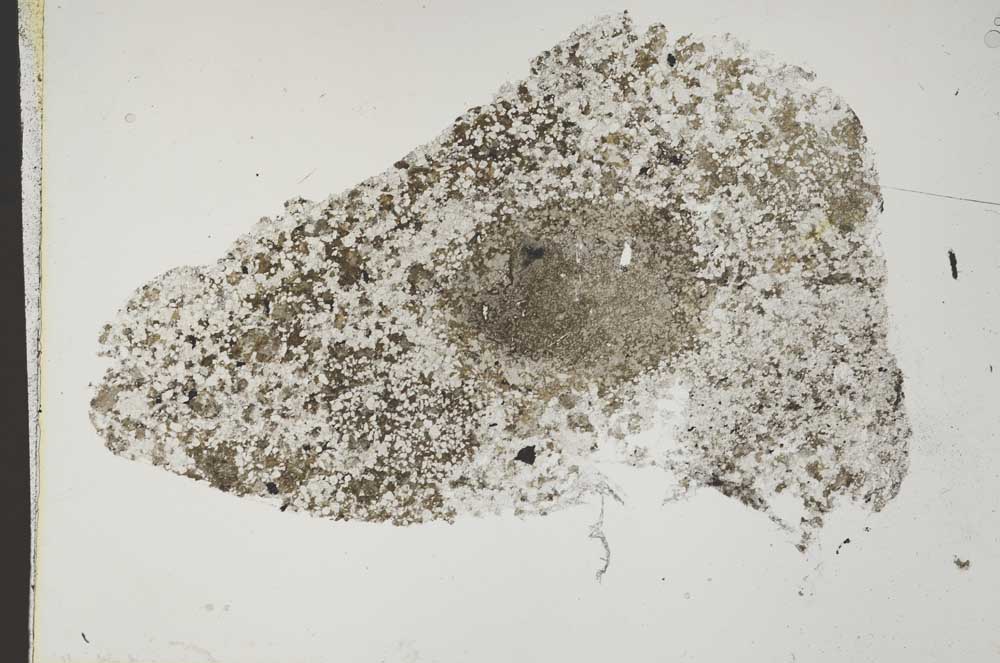 Plane Polarized, S42671