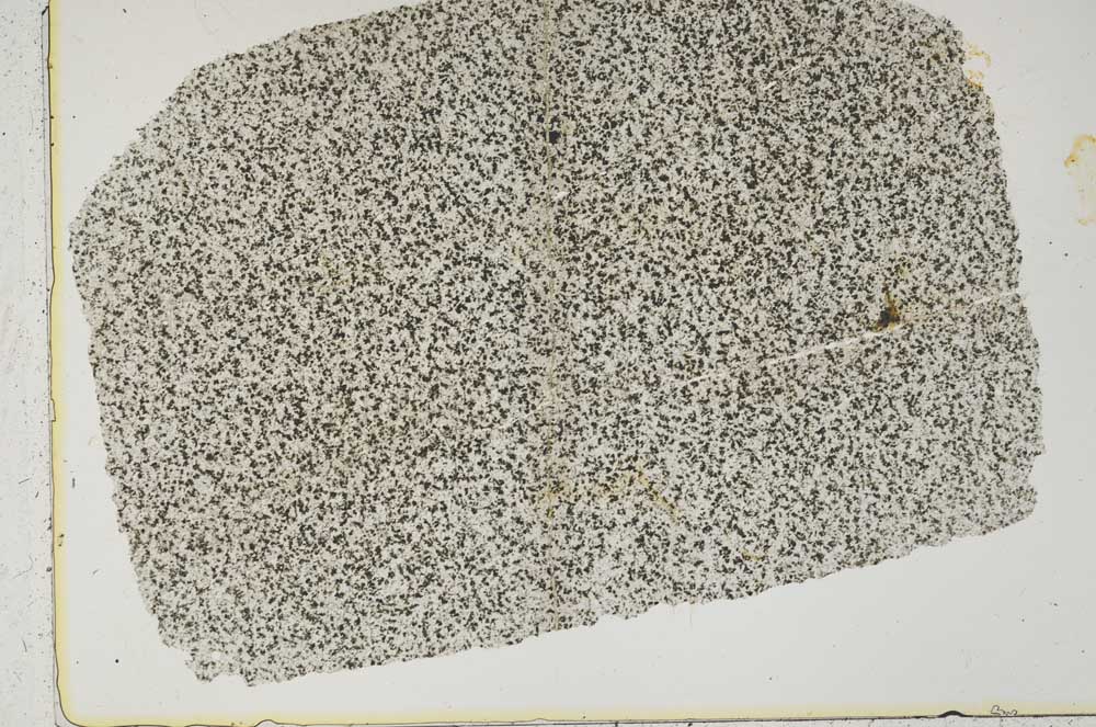 Plane Polarized, S42677