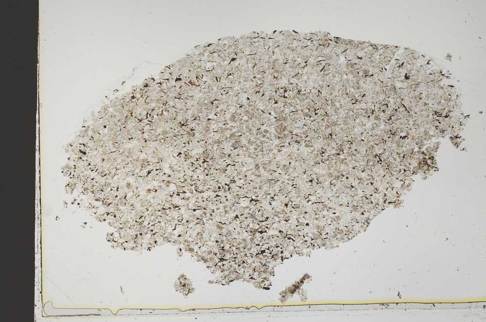 Plane Polarized, S42736