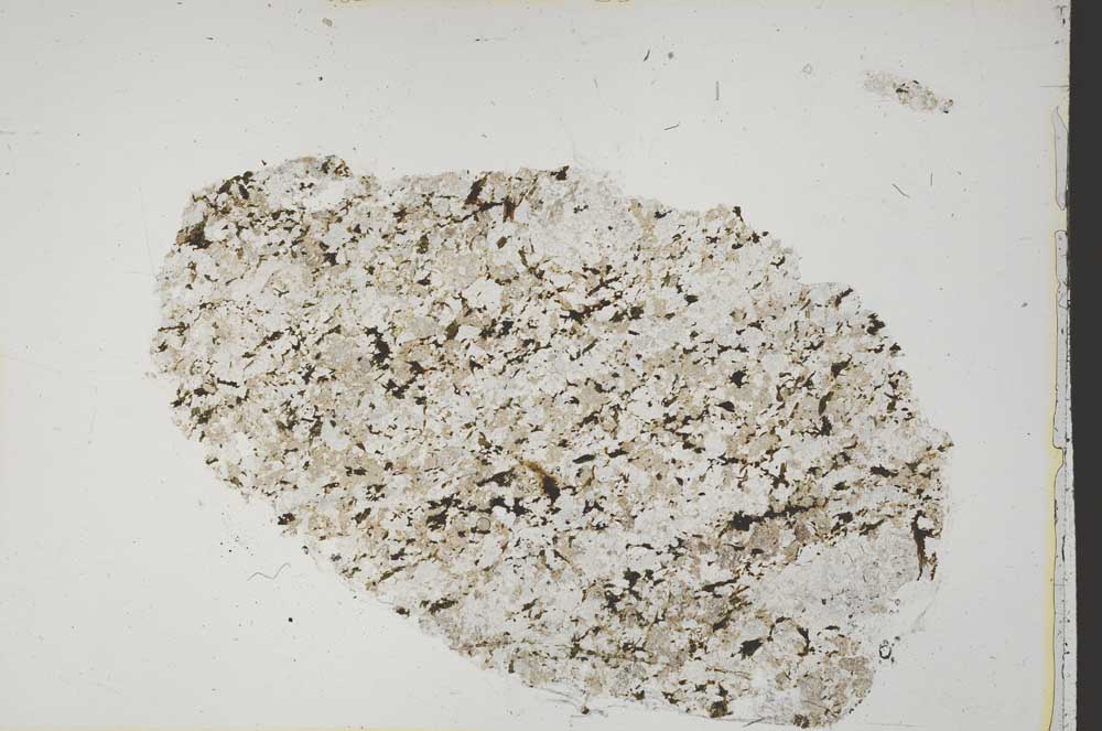 Plane Polarized, S42744