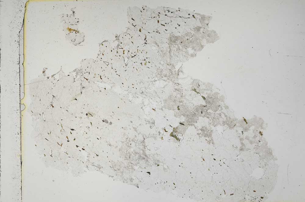 Plane Polarized, S42751