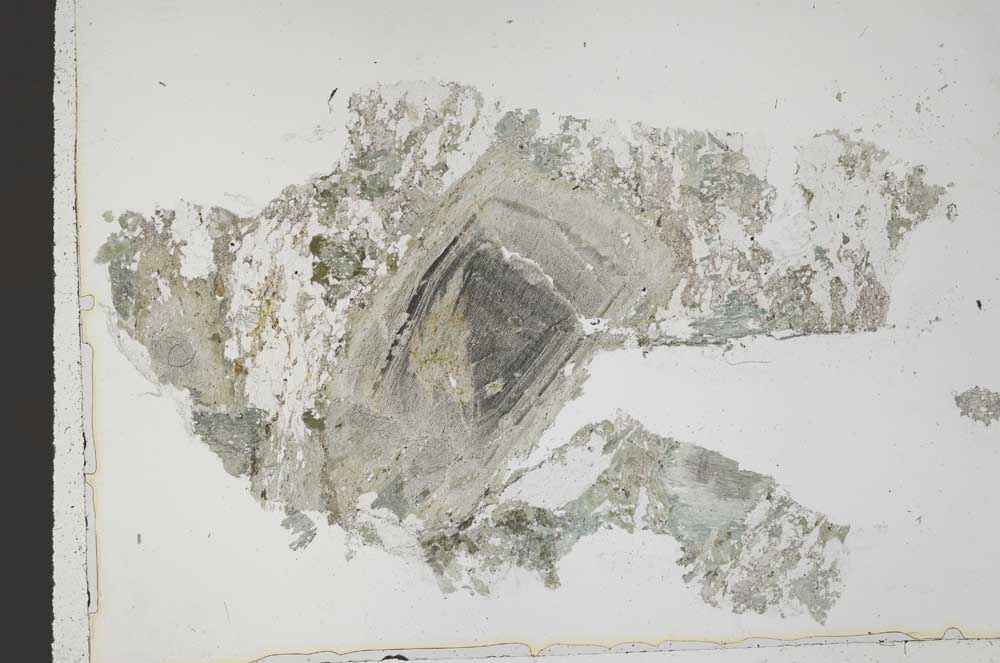 Plane Polarized, S42762