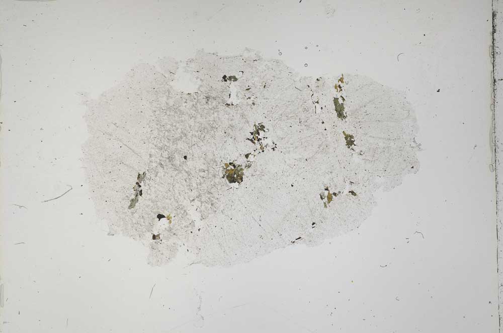 Plane Polarized, S42781