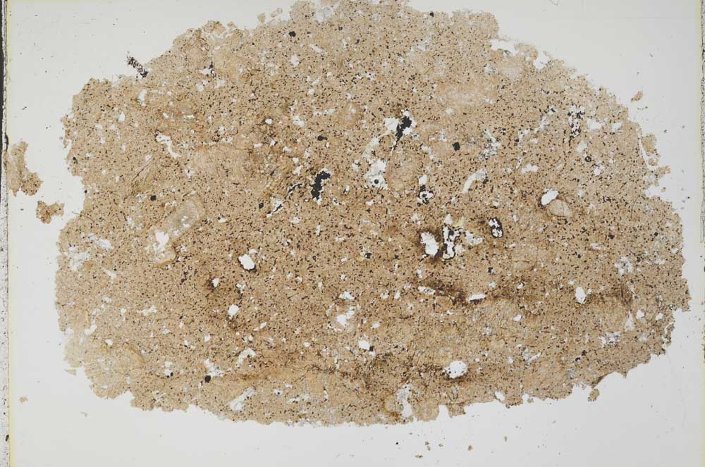 Plane Polarized, S42783