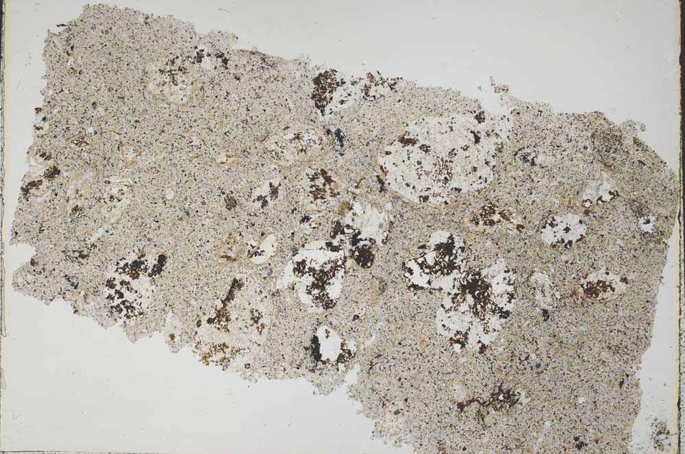 Plane Polarized, S42785