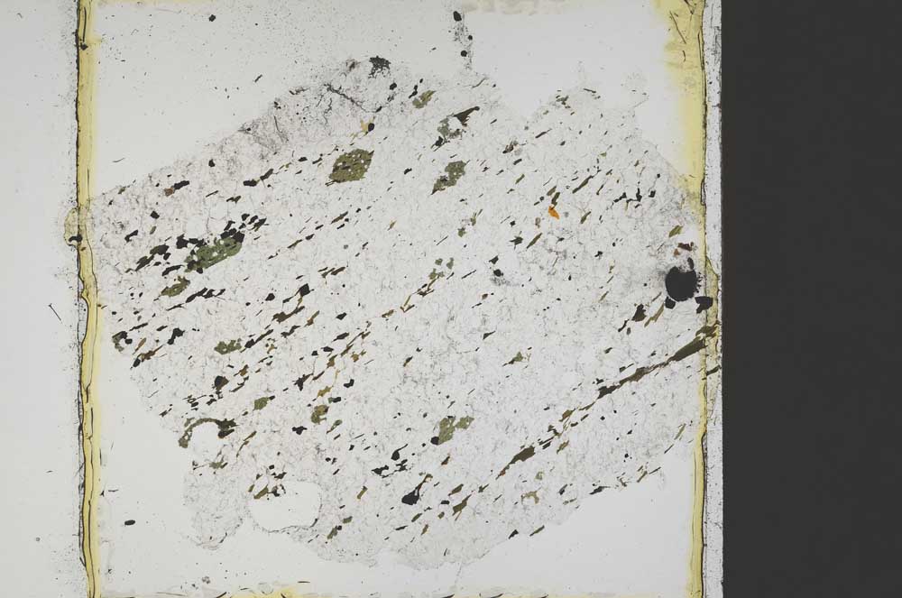 Plane Polarized, S42791
