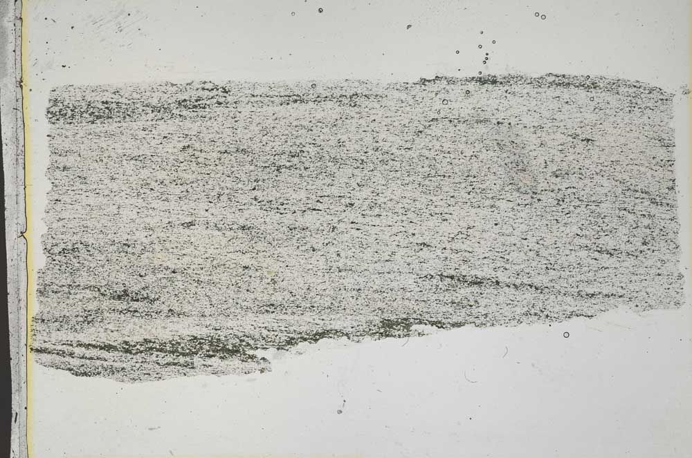 Plane Polarized, S42792