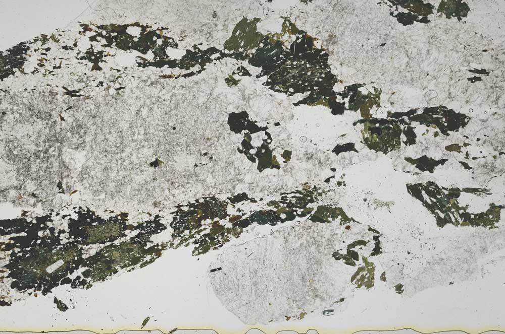 Plane Polarized, S42800