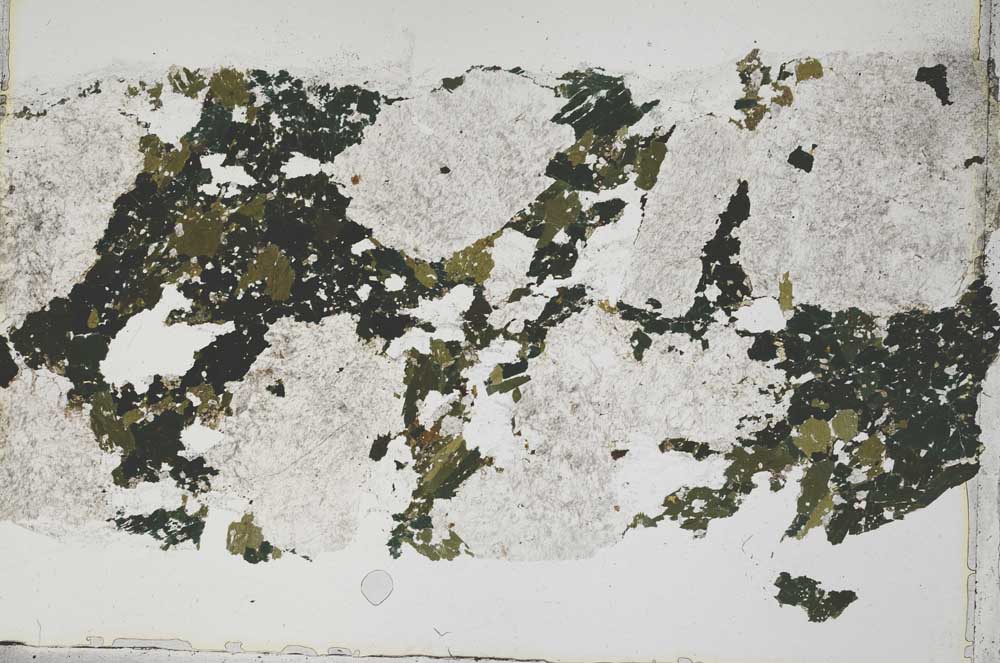 Plane Polarized, S42802