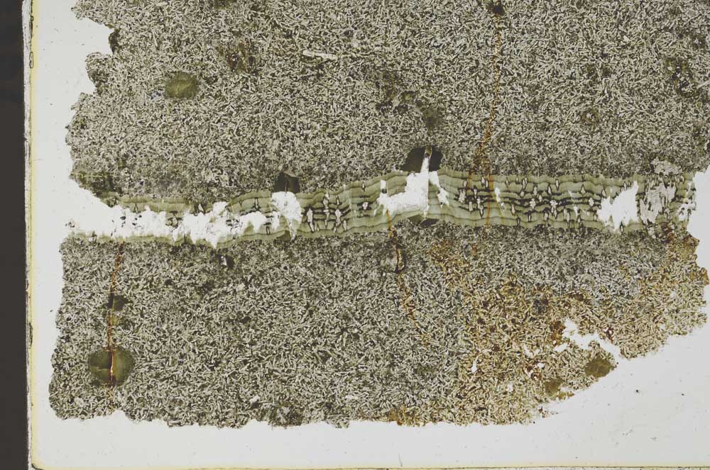 Plane Polarized, S42812