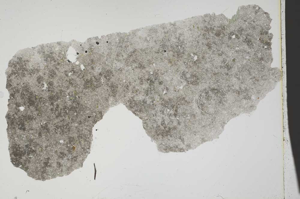 Plane Polarized, S42813