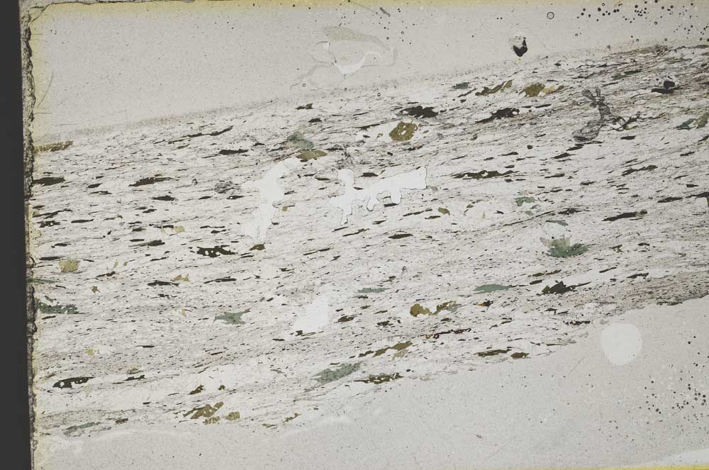 Plane Polarized, S42822