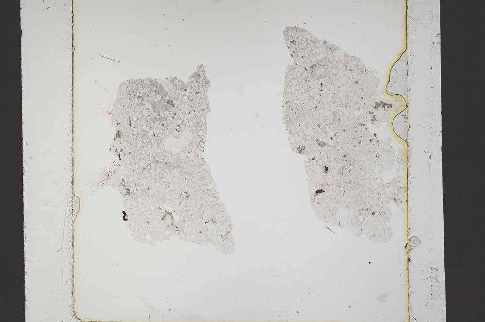 Plane Polarized, S42881