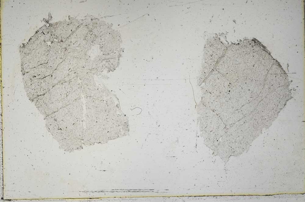 Plane Polarized, S42899