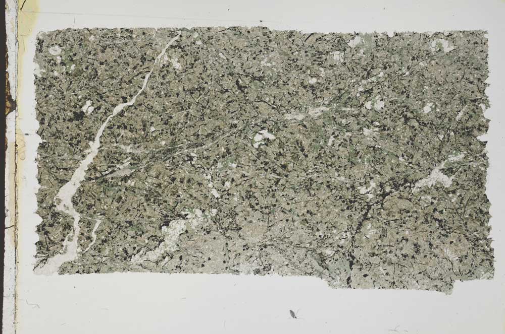 Plane Polarized, S42922