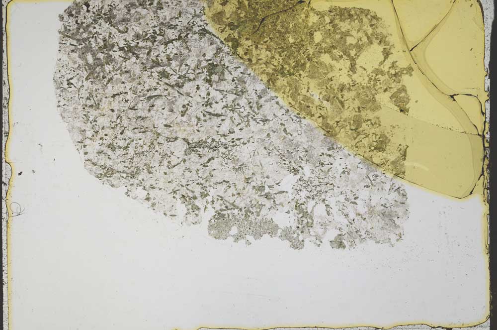 Plane Polarized, S43026