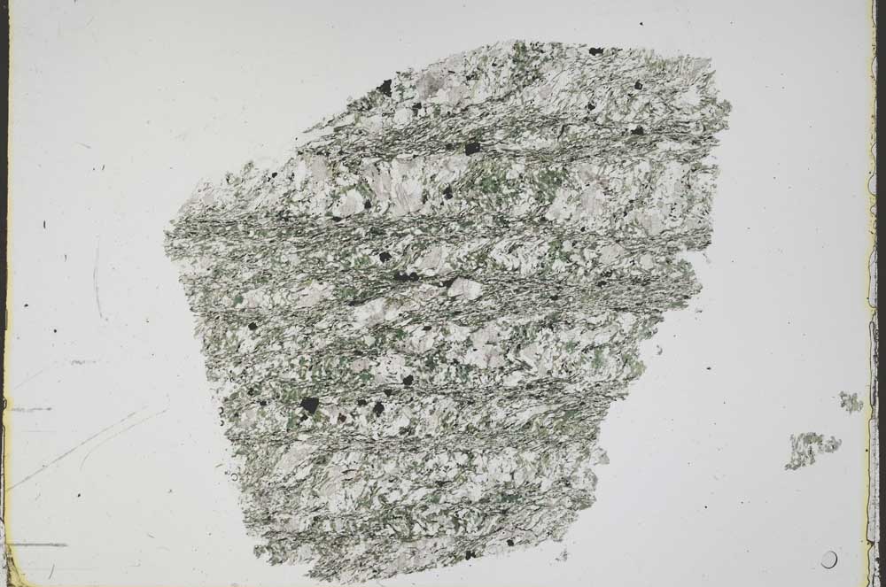 Plane Polarized, S43101