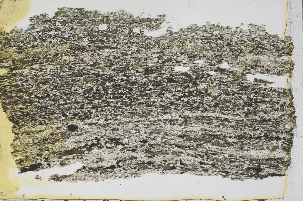 Plane Polarized, S43102