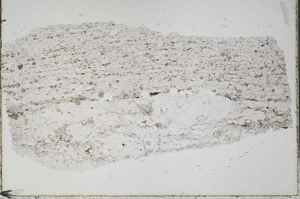 Plane Polarized, S43104