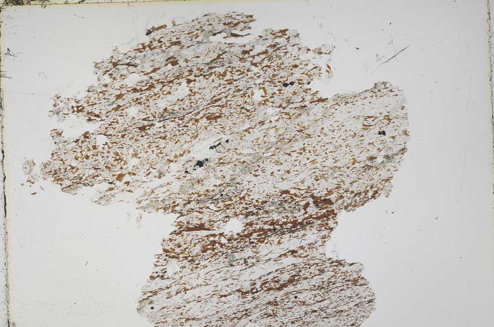 Plane Polarized, S43105