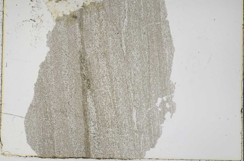 Plane Polarized, S43106