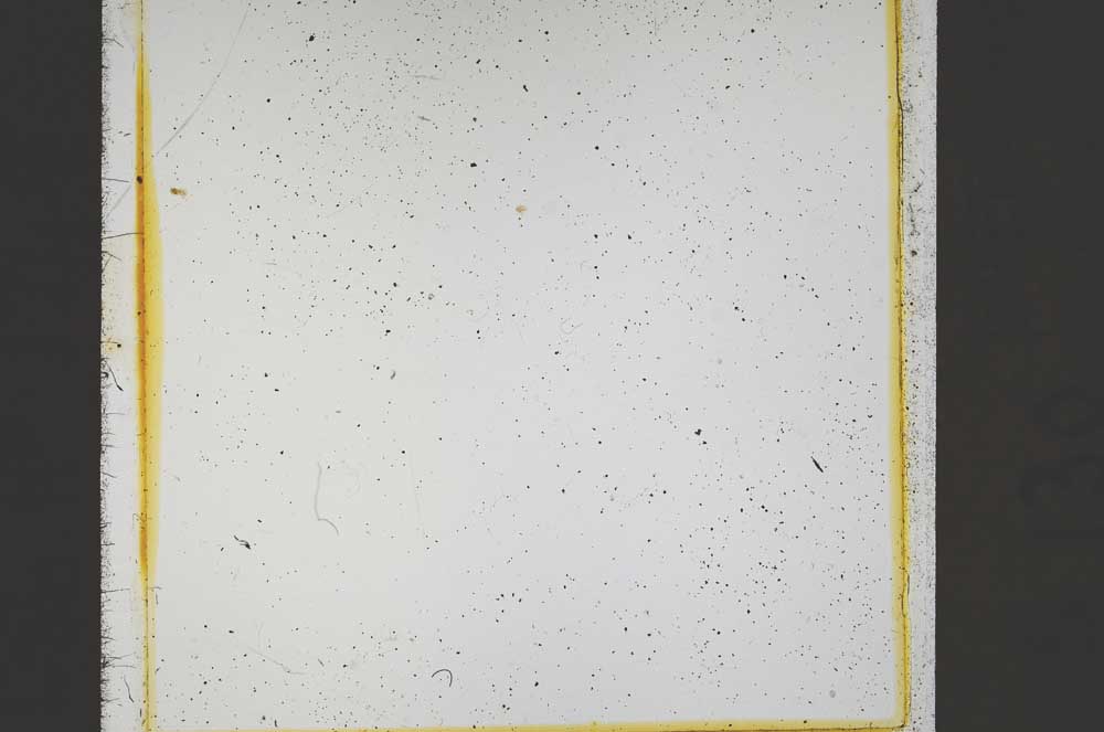 Plane Polarized, S43108/A