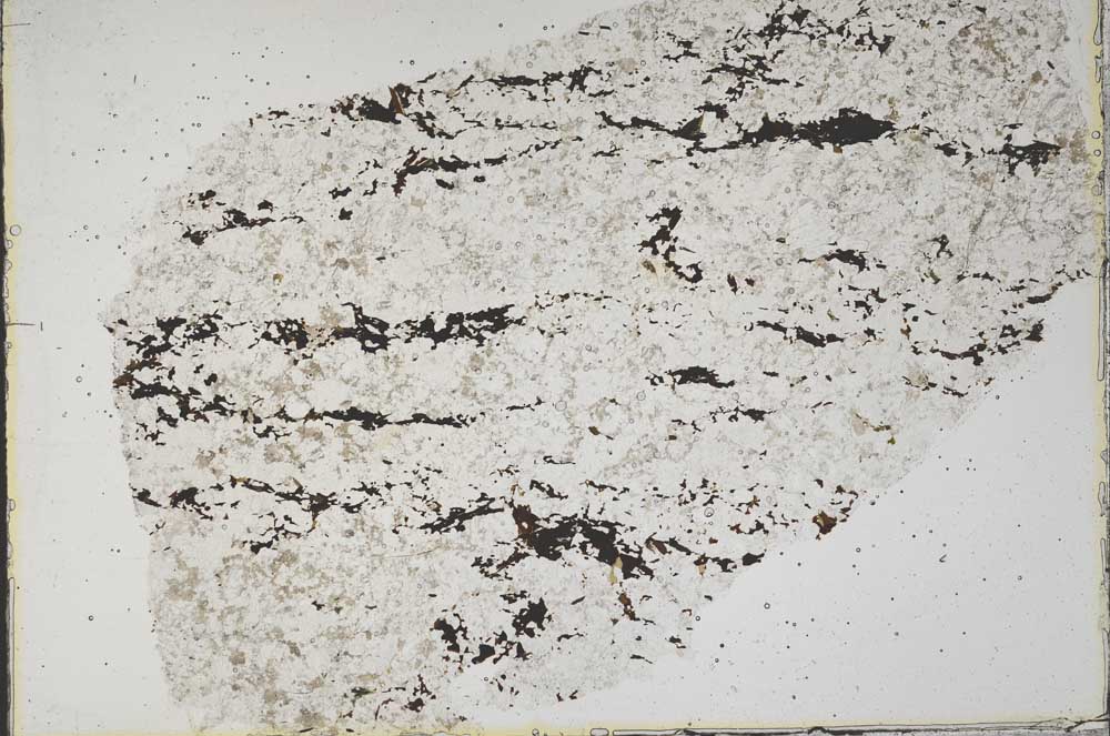 Plane Polarized, S43120