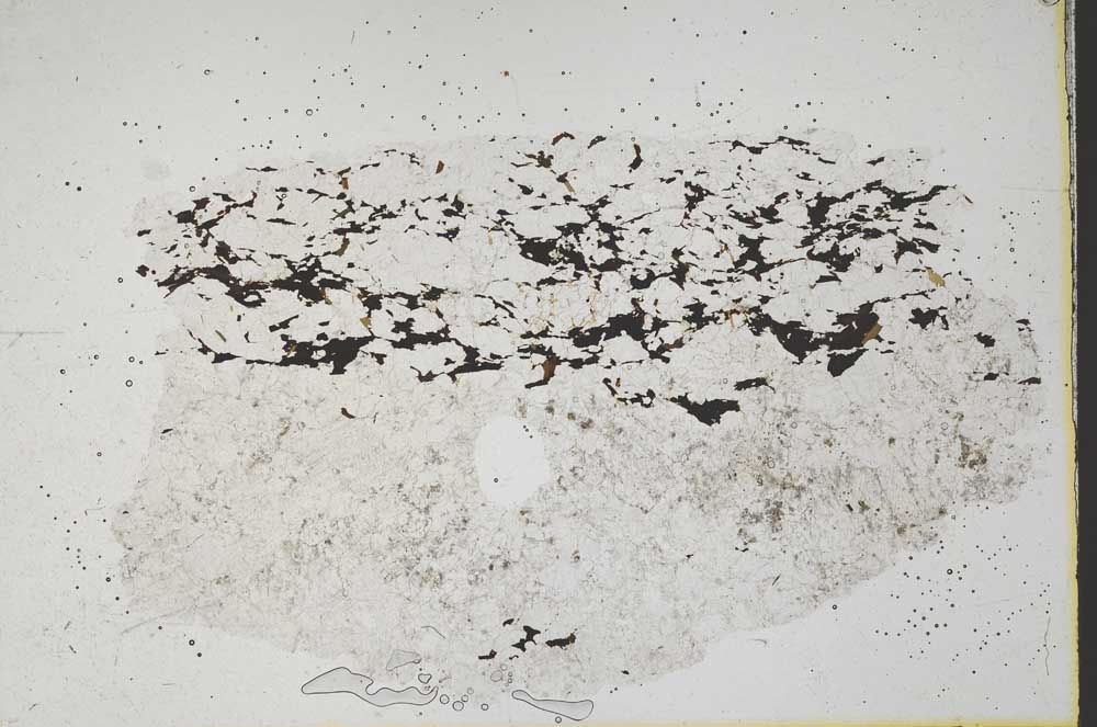 Plane Polarized, S43123