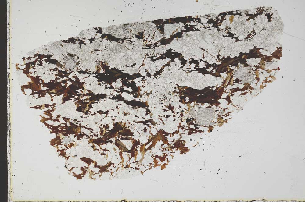 Plane Polarized, S43128