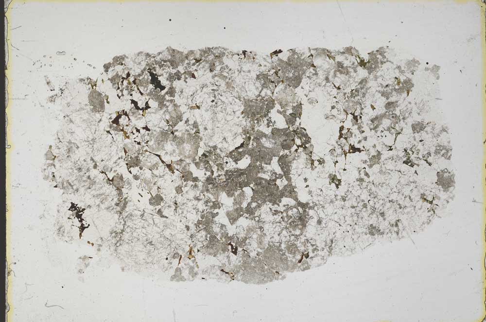 Plane Polarized, S43134