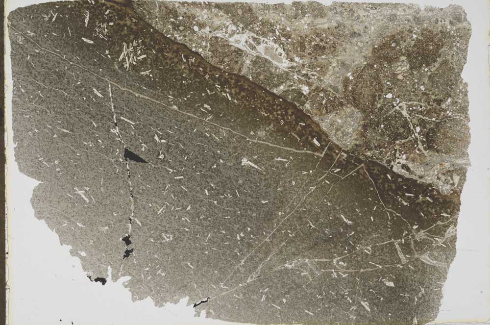 Plane Polarized, S43144