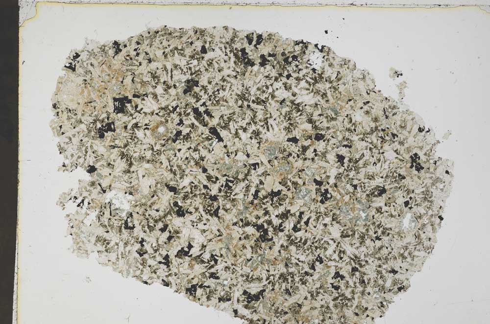 Plane Polarized, S43150